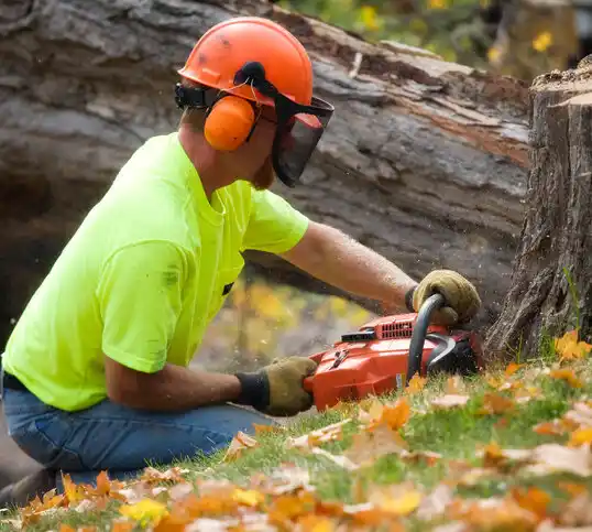 tree services Poydras